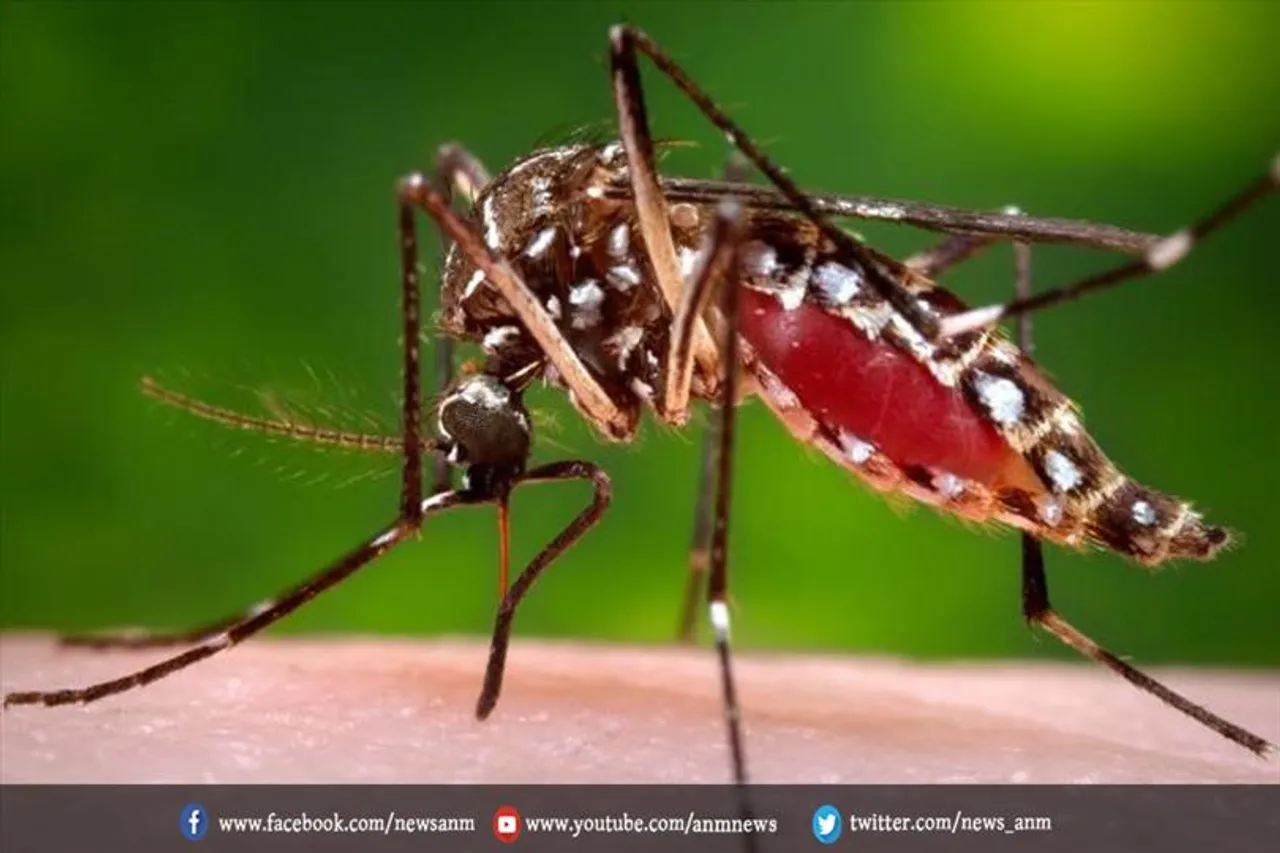सिलीगुड़ी नगर निगम क्षेत्र में डेंगू का आंकड़ा 3,800  के पार