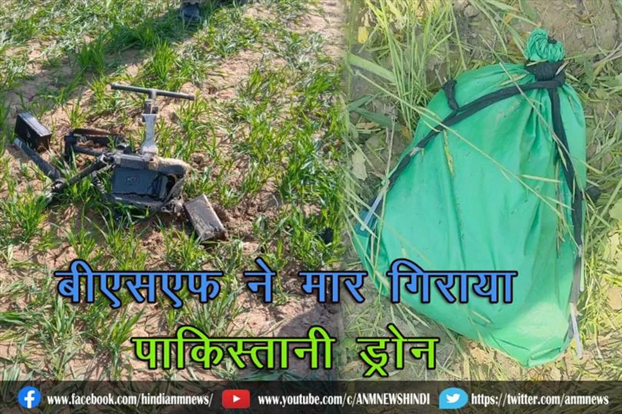 बीएसएफ ने मार गिराया पाकिस्तानी ड्रोन