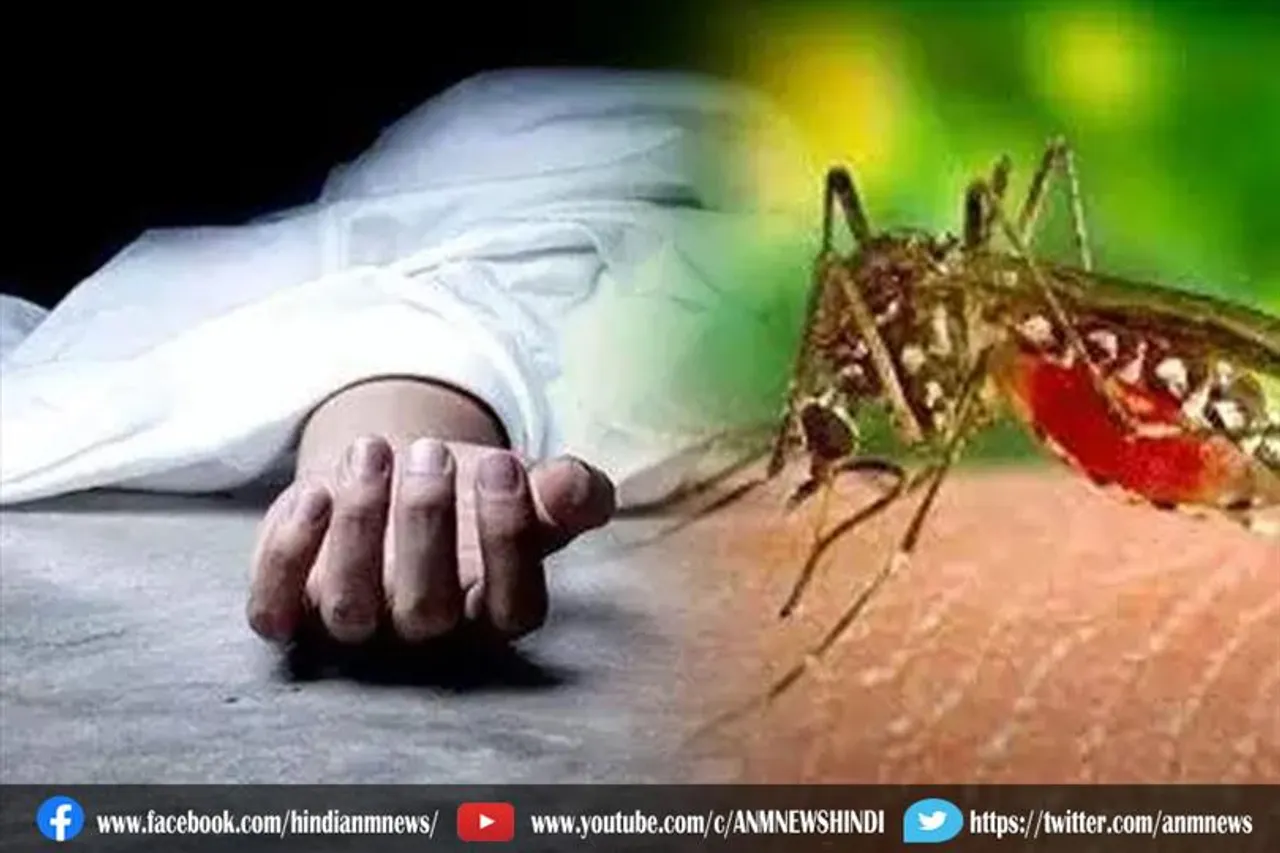 इस साल डेंगू से हुई 23 लोगों की मौत