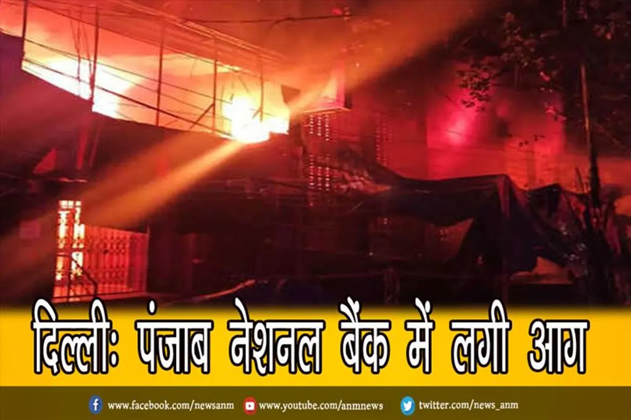 दिल्ली: पंजाब नेशनल बैंक में लगी आग