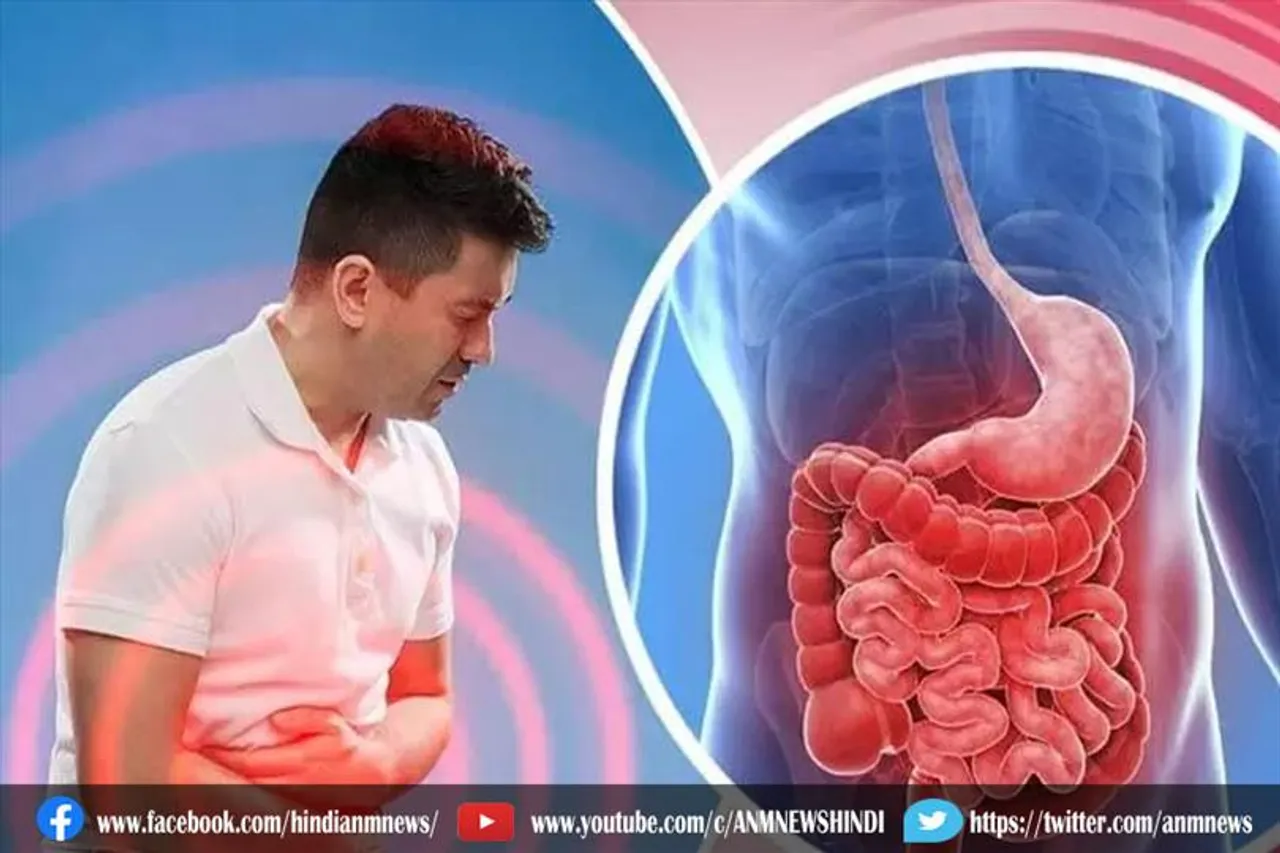 पाचन तंत्र को मजबूत और सही रखने वाले फूड्स