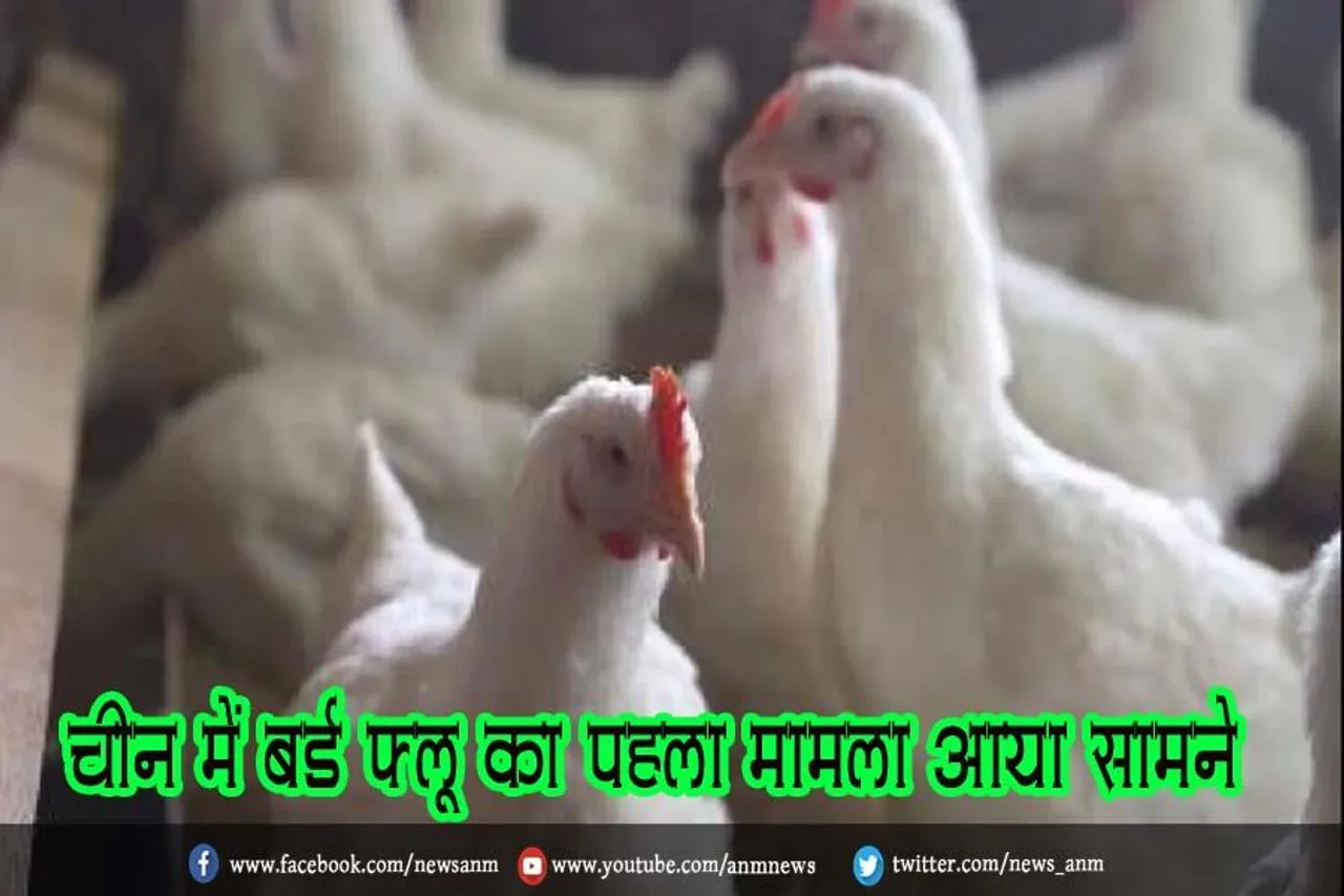 चीन में बर्ड फ्लू का पहला मामला आया सामने