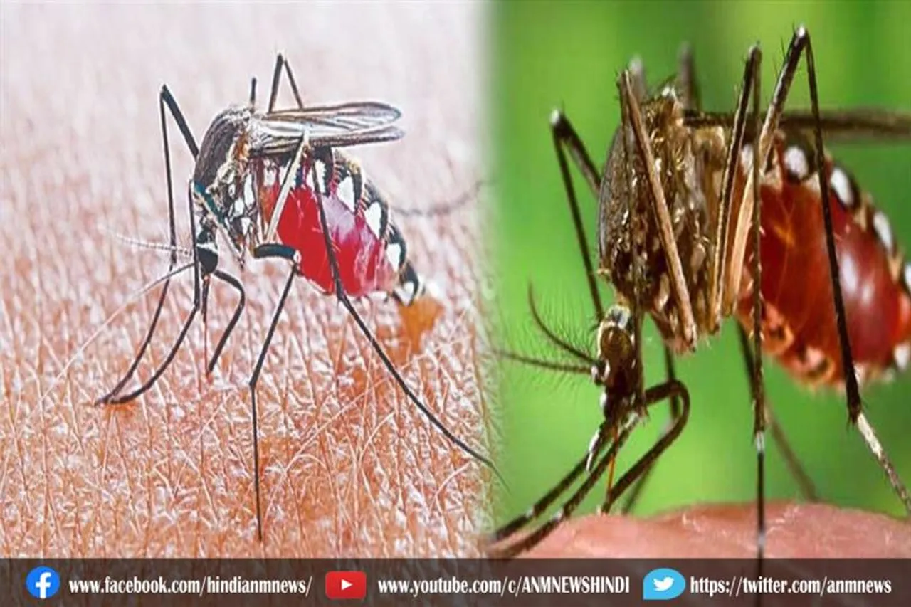 डेंगू के मामलों ने छह साल का रिकॉर्ड तोड़ दिया