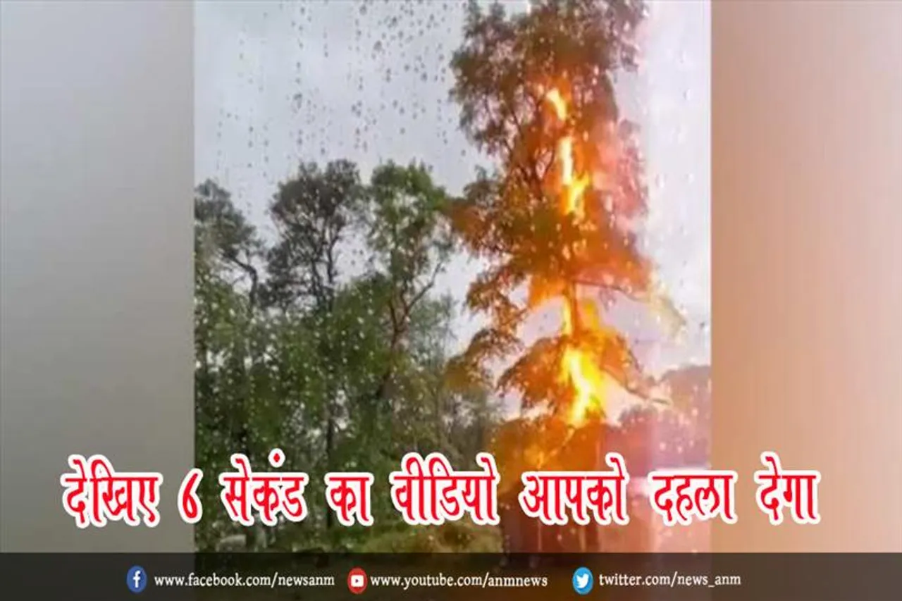 देखिए 6 सेकंड का वीडियो आपको दहला देगा