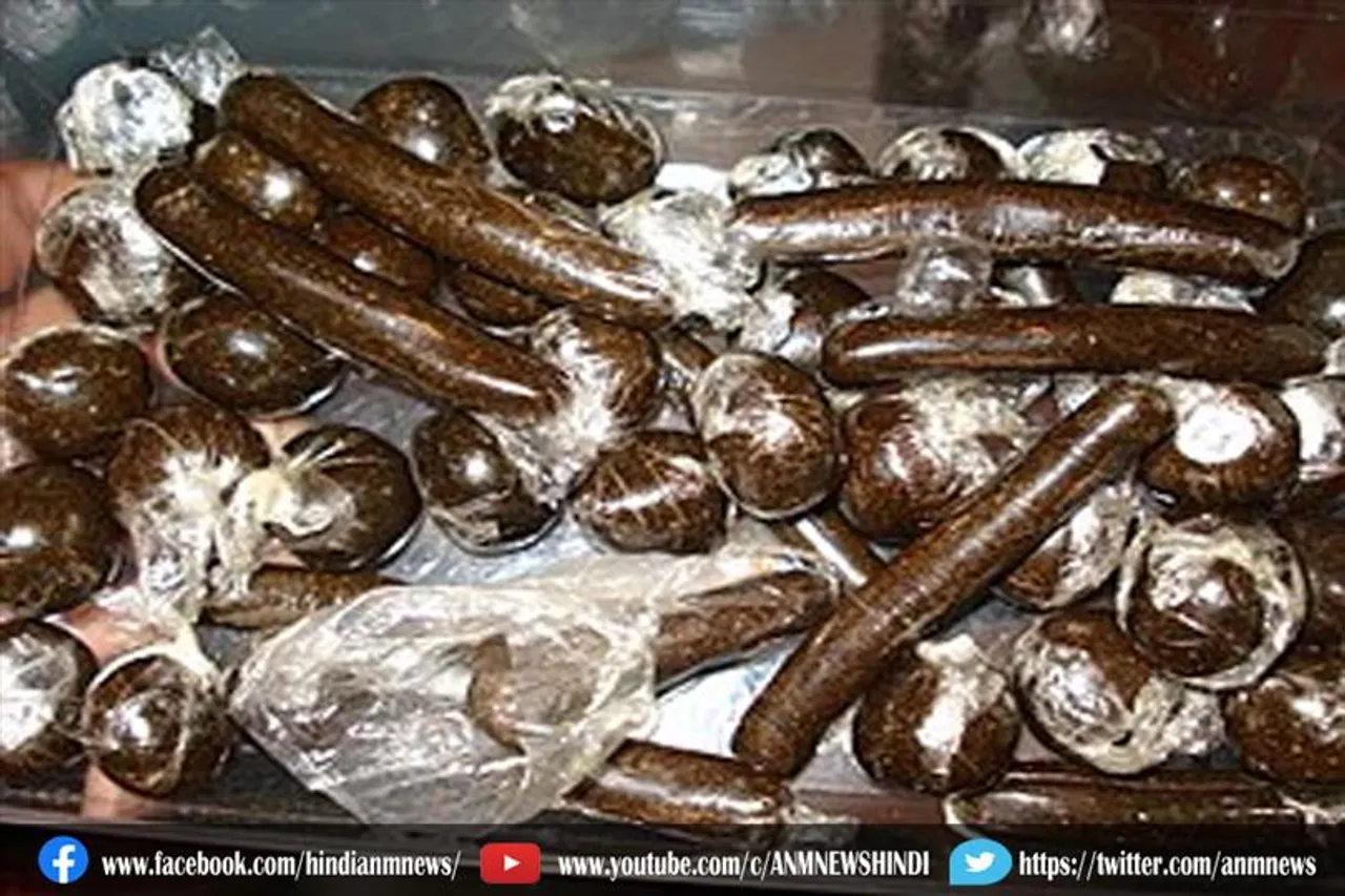 9.824 किलोग्राम चरस बरामद