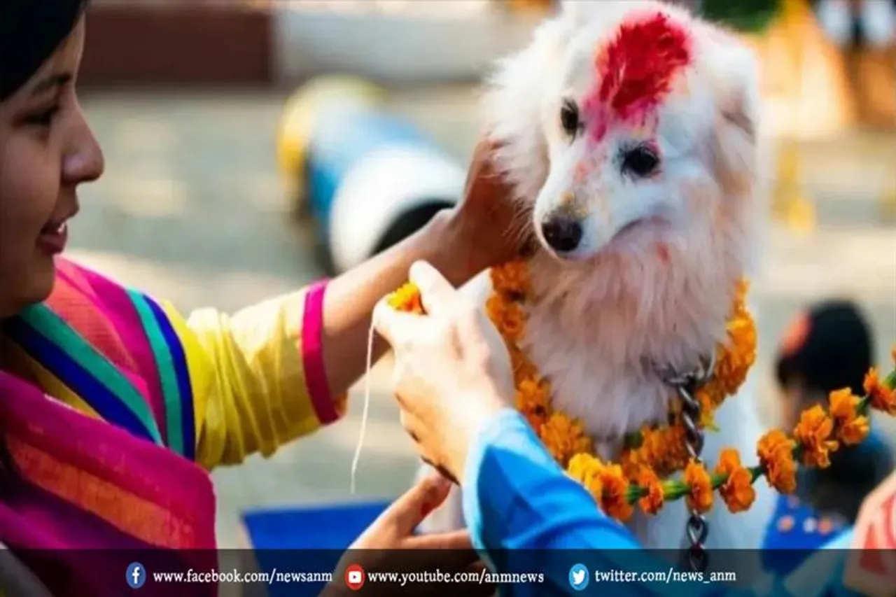 कैसे मनाते हैं 'कुकुर तिहार' पर्व