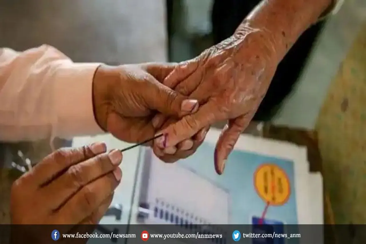 किस वॉर्ड में कितने प्रत्याशी?