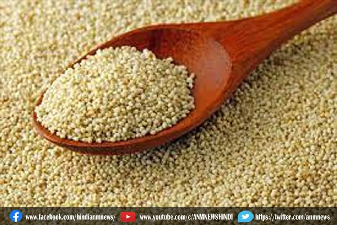 खसखस में पाए जाते है कई औषधिए गुण