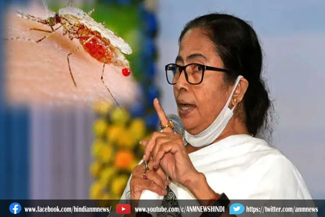 डेंगू के मामलों में कमी देखी जा रही है: ममता बनर्जी
