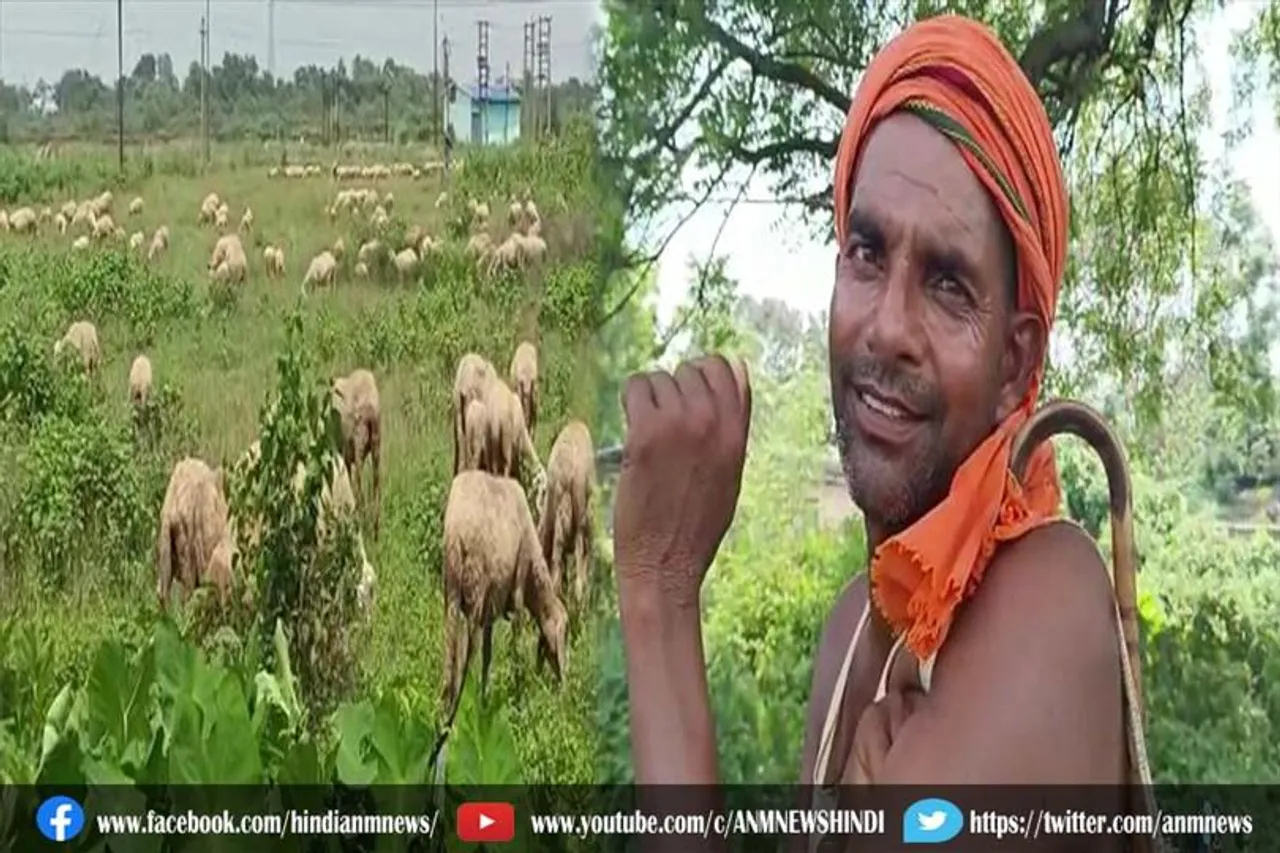 सालों साल हजारों भेड़ों के साथ अपना घर छोड़कर जंगलों में है और दूर-दराज के इलाकों में घूमते हैं उपेंद्र पाल