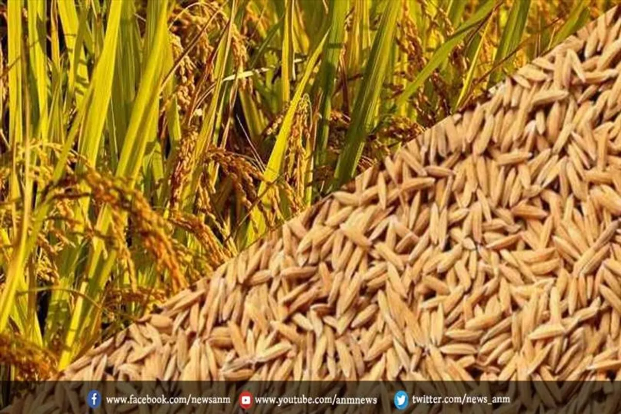 54 नए किसान उत्पादक संगठनों को शामिल करने का फैसला