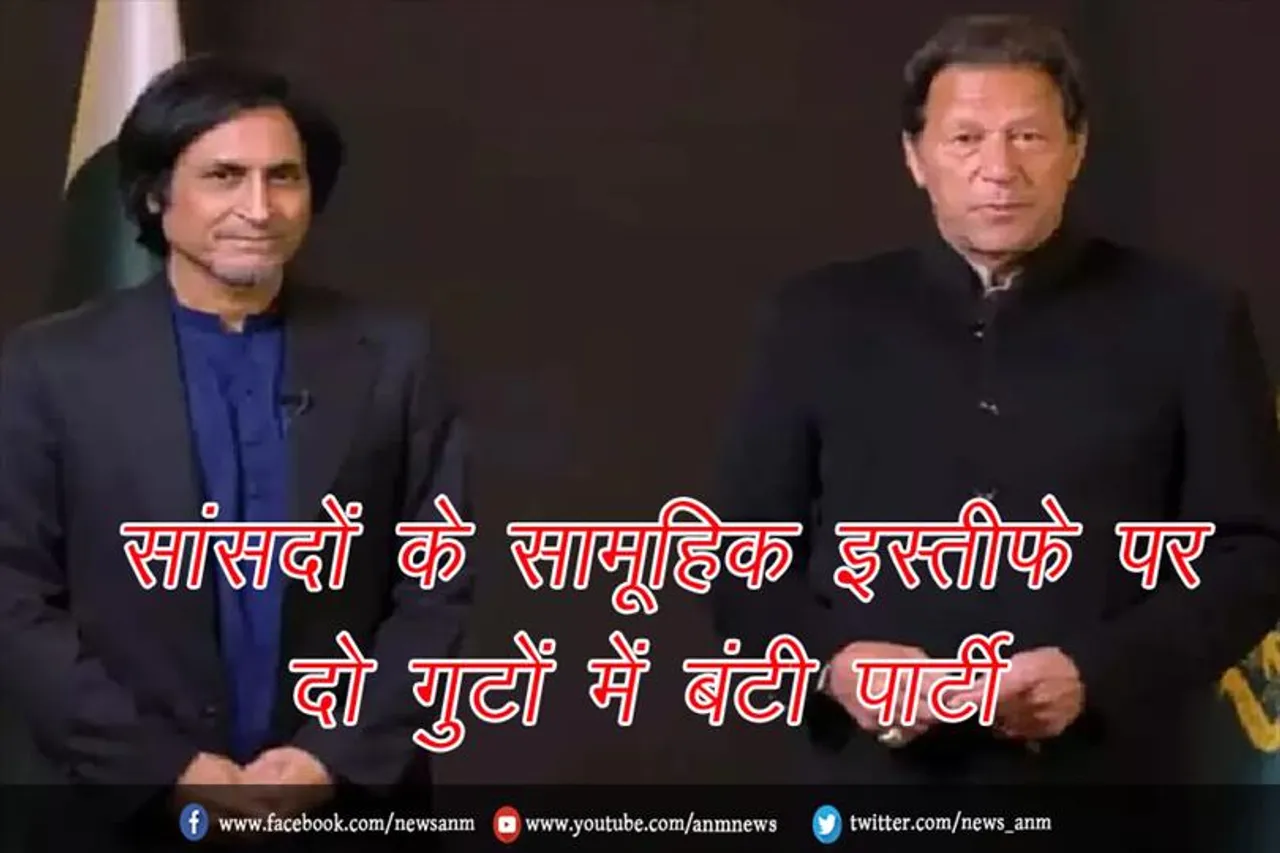 सांसदों के सामूहिक इस्तीफे पर दो गुटों में बंटी पार्टी