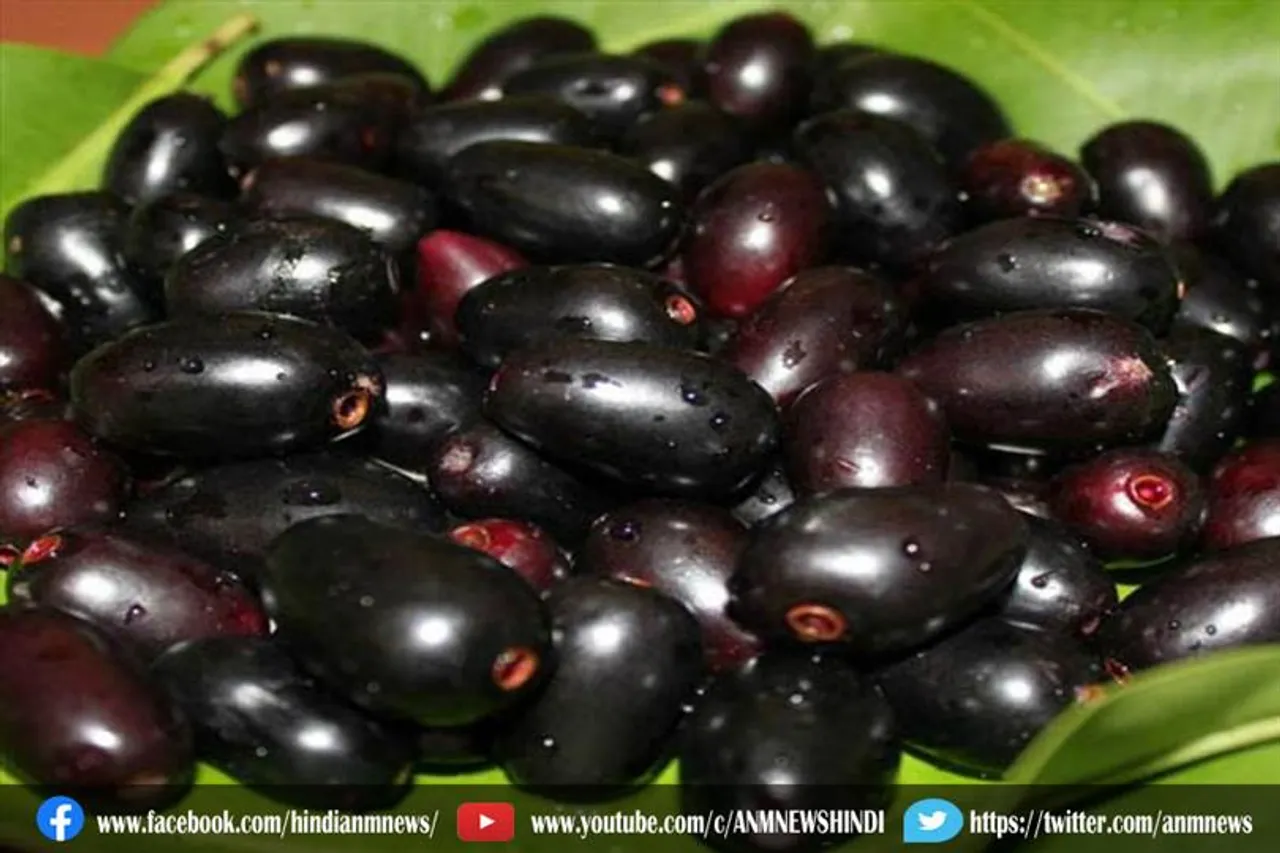 काले रंग का यह फल है बेस्ट ऑप्शन