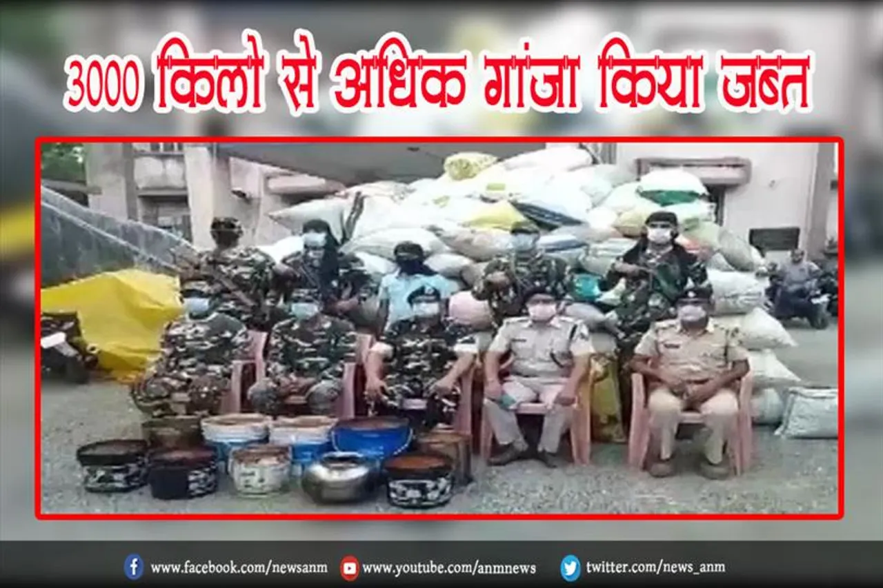 3000 किलो से अधिक गांजा किया जब्त