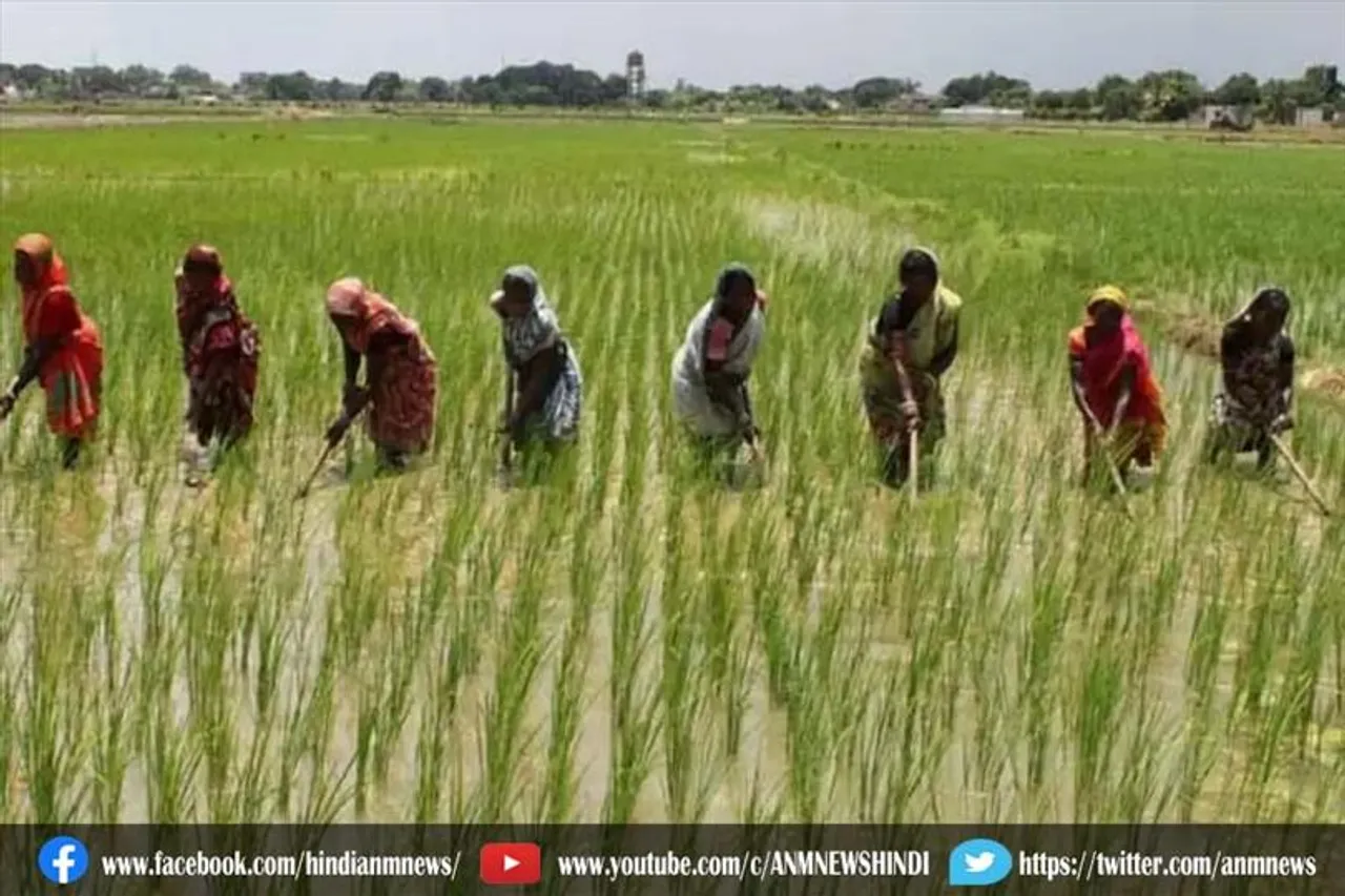 सरकार ने बनाएगी फार्म क्लस्टर