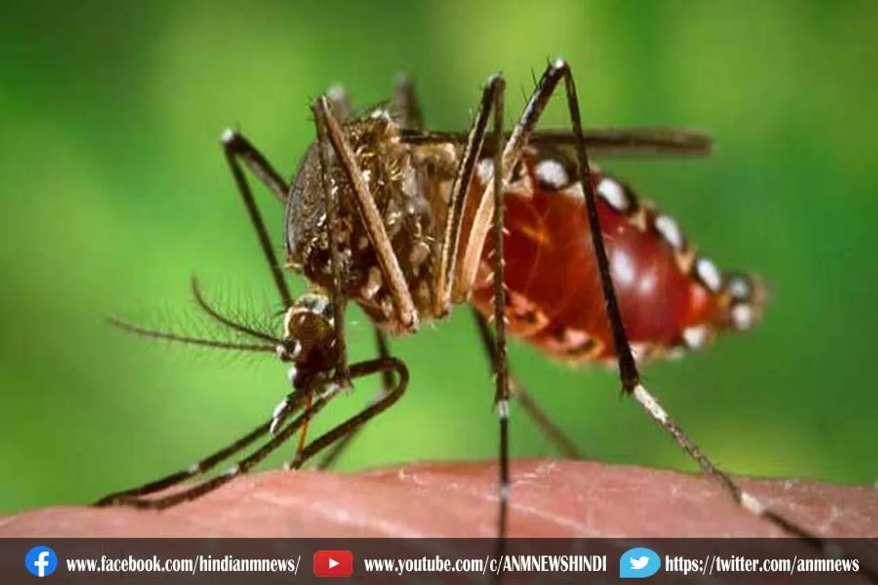 बढ़ता जा रहा है डेंगू का प्रकोप
