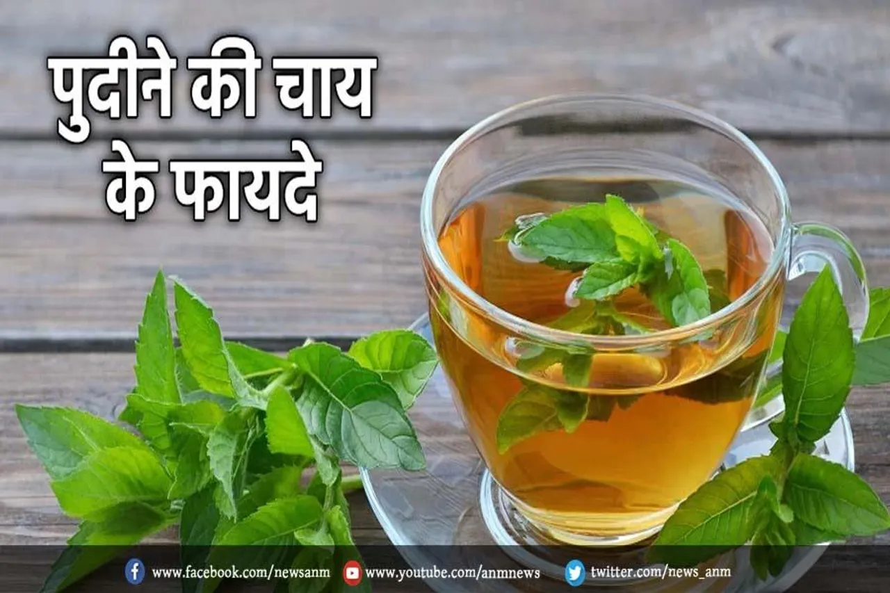 पुदीने की चाय के फायदे