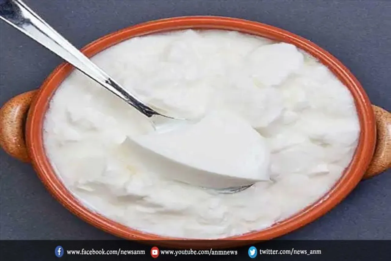 रोजाना डाइट में दही, मिल सकते हैं कई लाभ