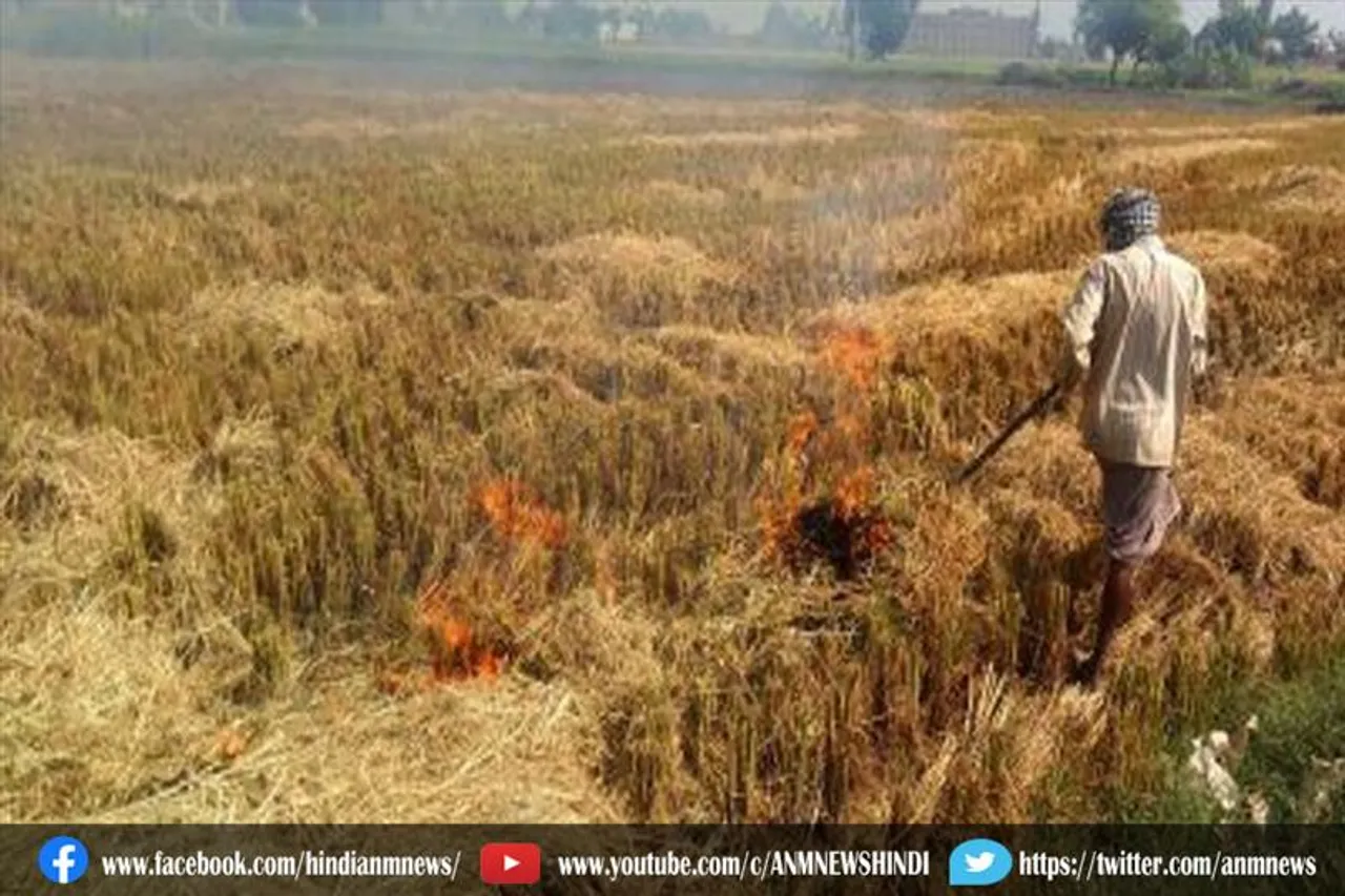 योगी सरकार ने किसानों के खिलाफ 868 पराली जलाने के मामले वापस लिए
