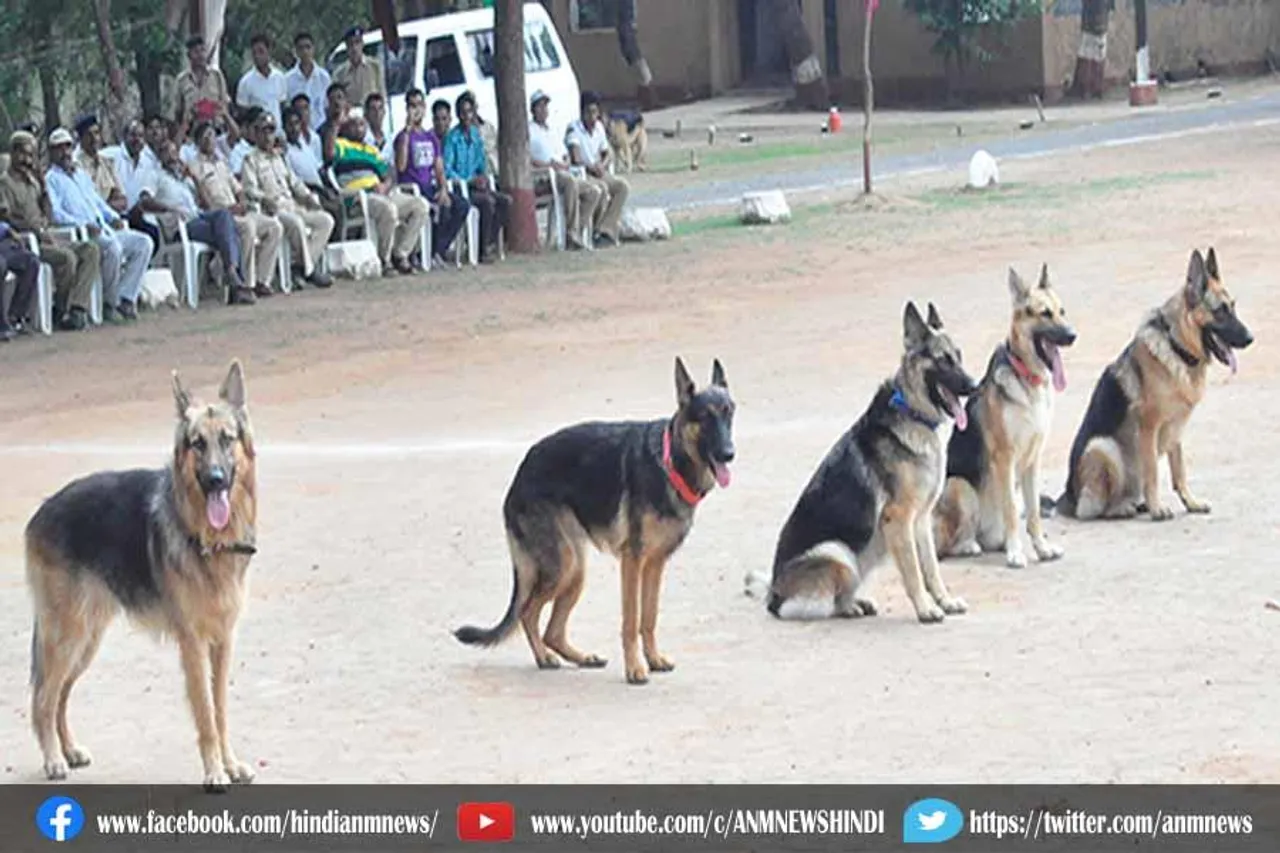सीआरपीएफ में शामिल किए जाएंगे 100 विशेष कुत्ते