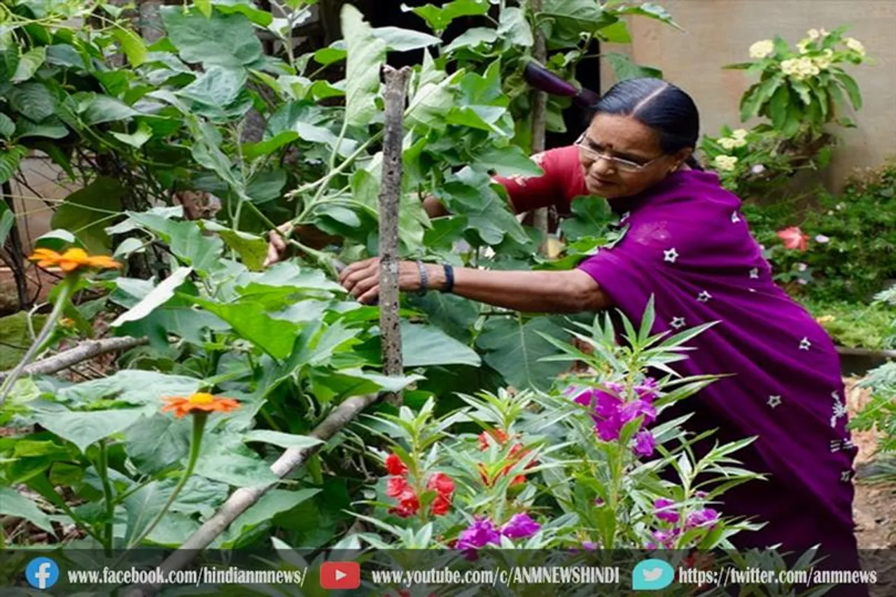 नौ आयुर्वेदिक अस्पतालों में विकसित होंगे हर्बल गार्डेन