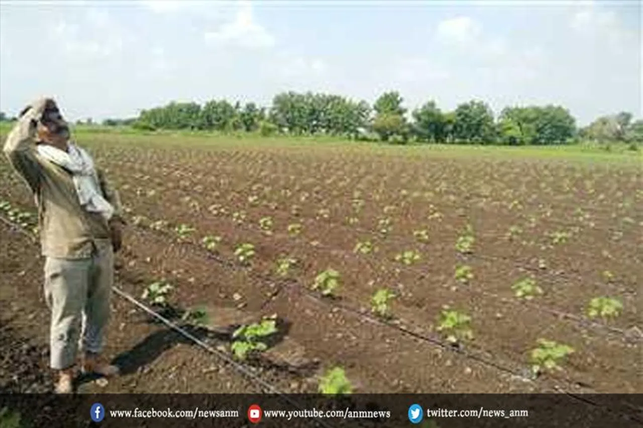 बारिश के चलते किसानों की फसल पर खतरा मंडराने लगा है
