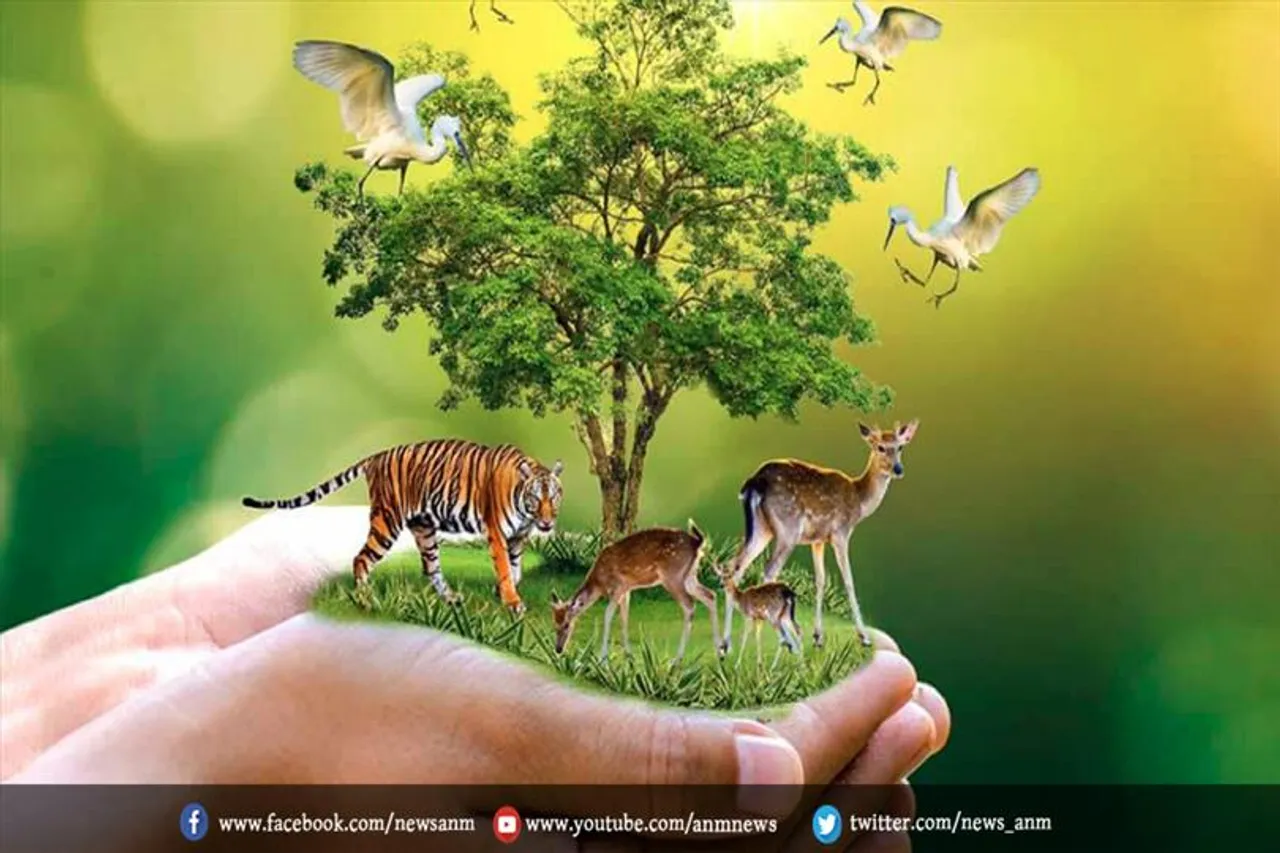 वन विभाग के पास नहीं है वन्य जीवों का सही आंकड़ा