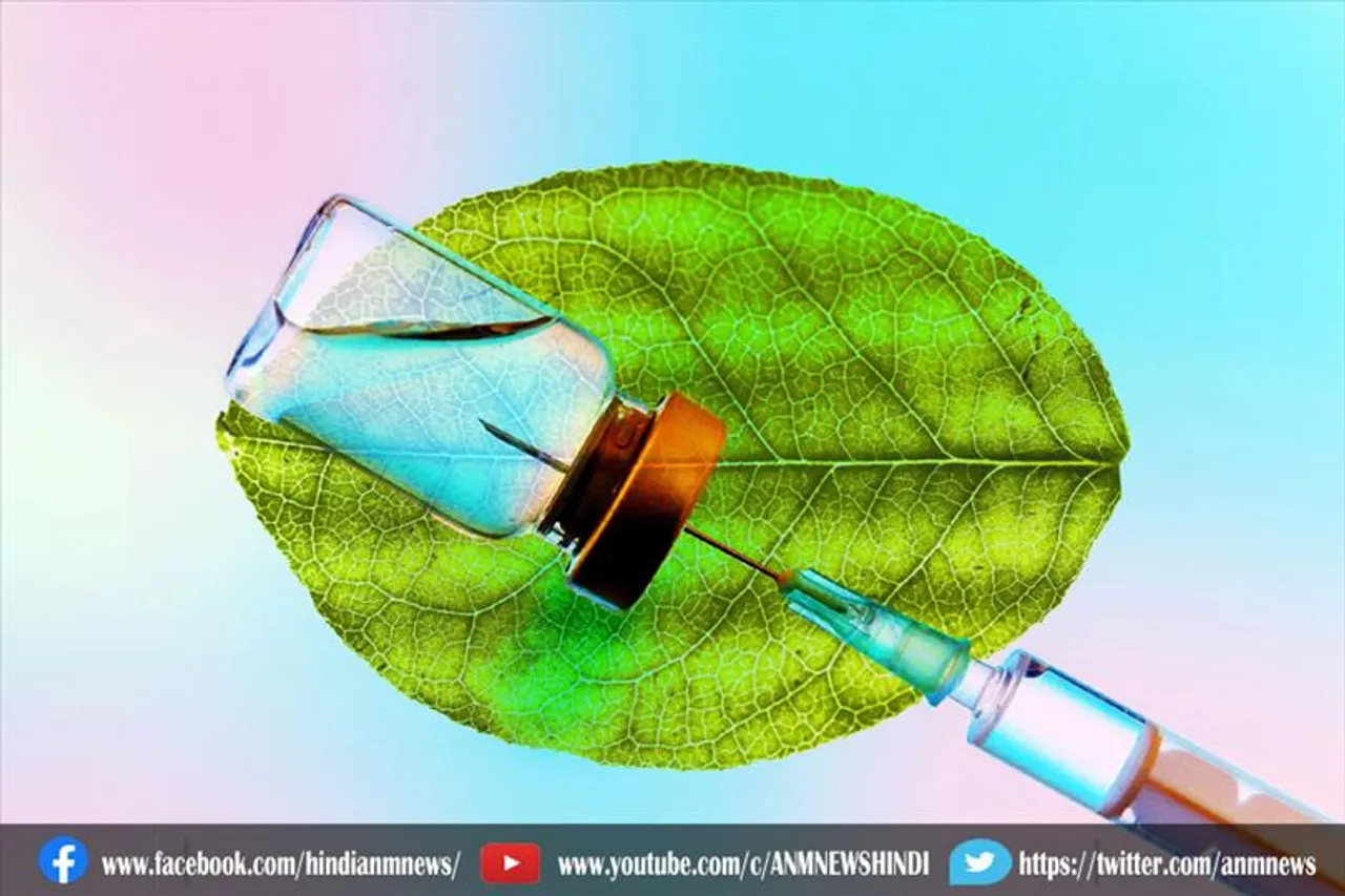 वनस्पति बेस्ड वैक्सीन