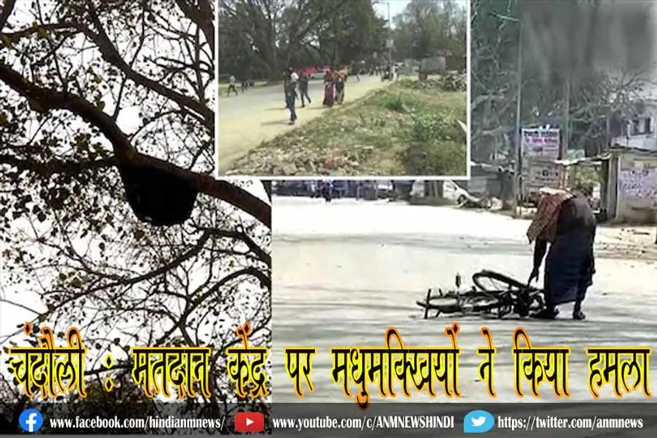 चंदौली: मतदान केंद्र पर मधुमक्खियों ने किया हमला
