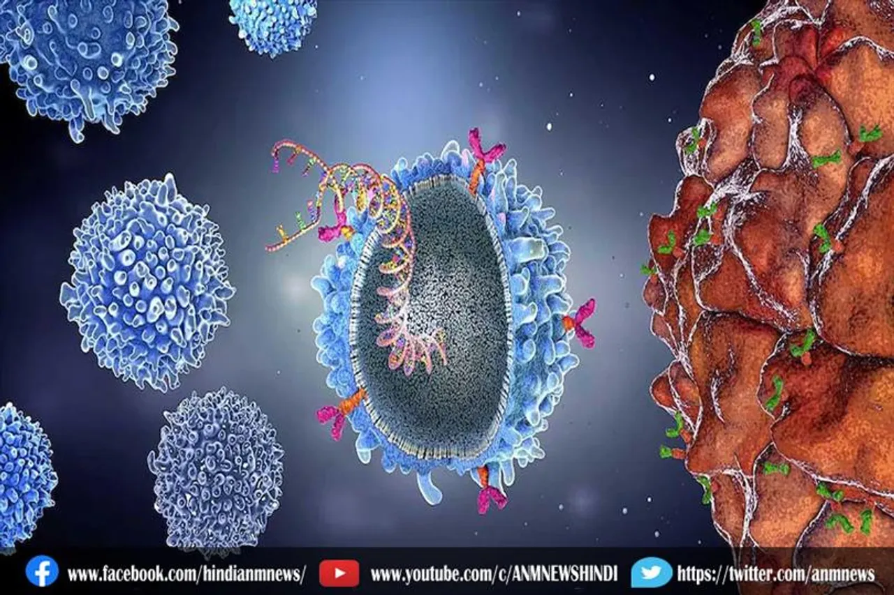 लंच में पहली बार मिला वायरस खाने वाला जीव