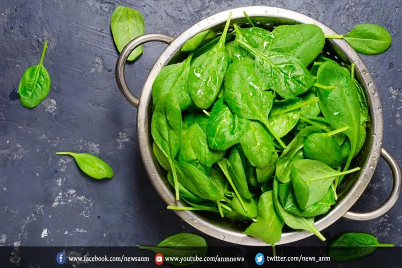 सर्दी के मौसम में पालक को अपने आहार में जरूर करें शामिल