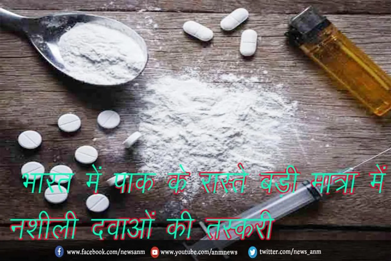 भारत में पाक के रास्ते बड़ी मात्रा में नशीली दवाओं की तस्करी