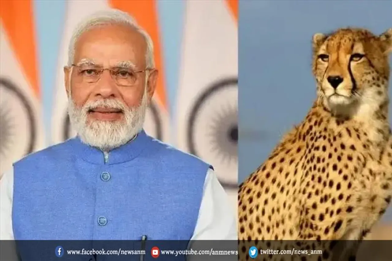 जो प्रतियोगिता जीतेगा उसे चीतों को देखने का पहला अवसर मिल सकता है