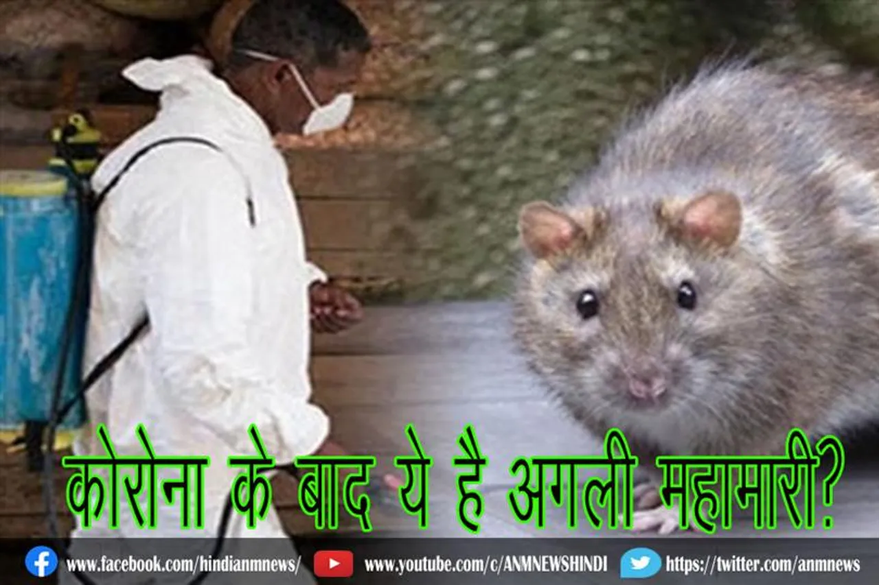 कोरोना के बाद ये है अगली महामारी?