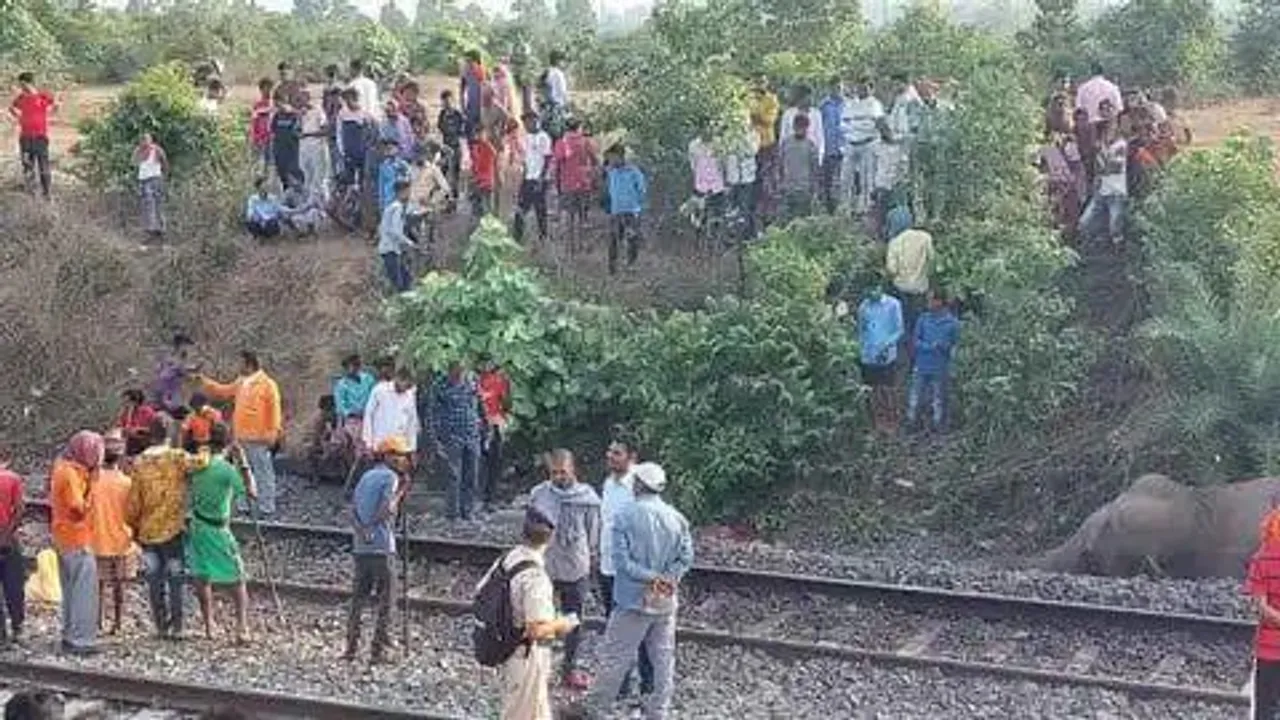 मालगाड़ी के साथ हाथी का टक्कर, डिब्बे का एक्सल टूटा