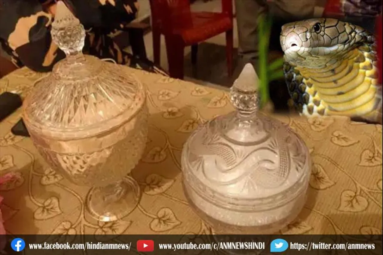 राज्य में 13 करोड़ रुपये का कोबरा जहर बरामद