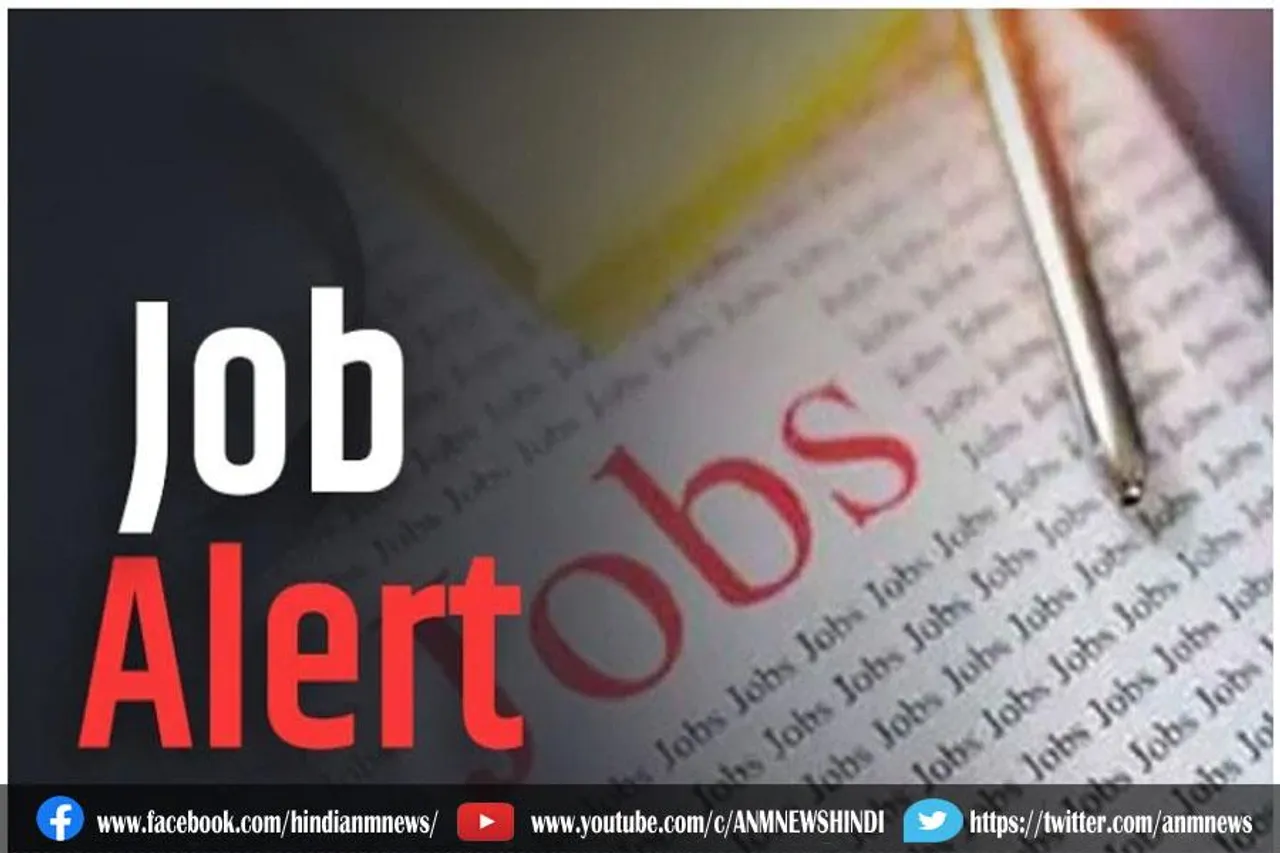 बिजली विभाग में 1500 से अधिक पदों पर निकली वैकेंसी