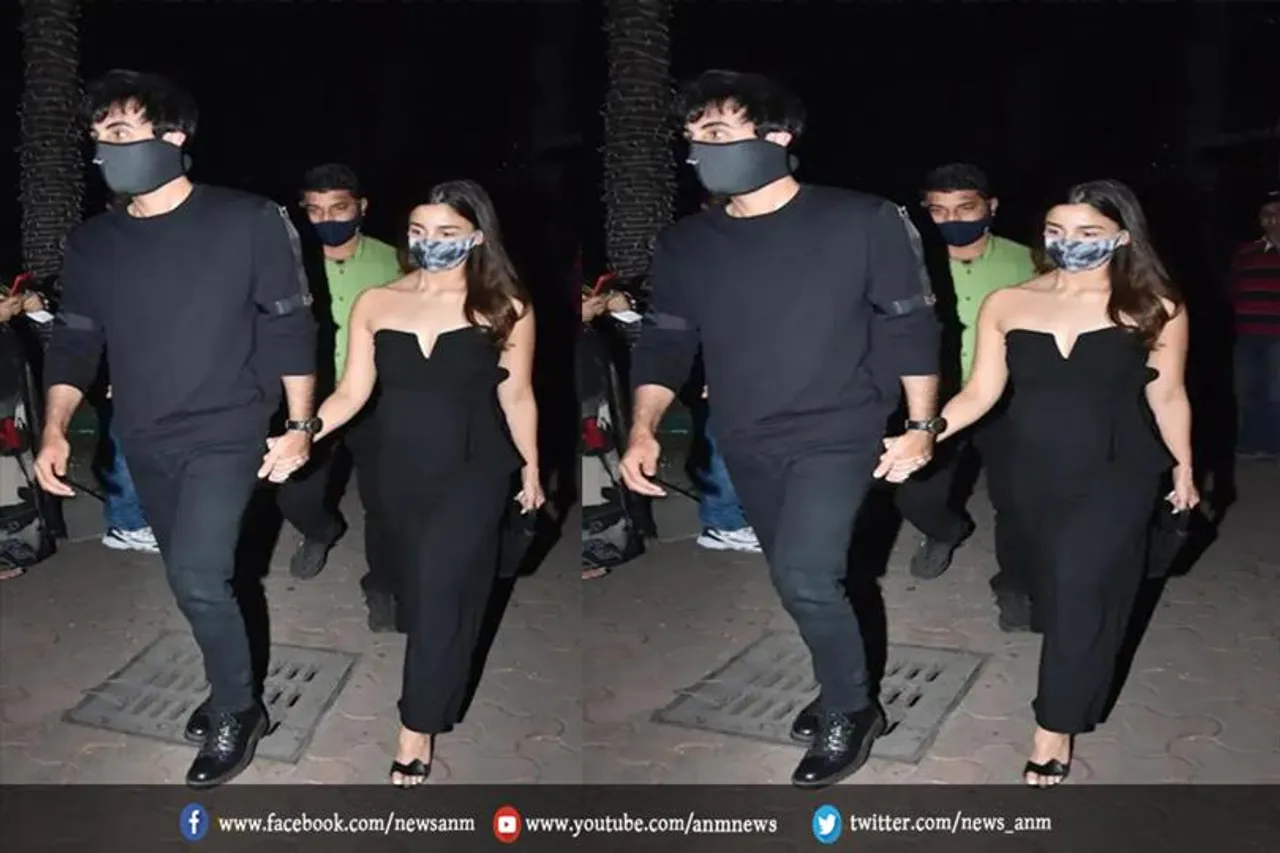 वीडियो: ट्विनिंग करते दिखे ये लवबर्ड्स