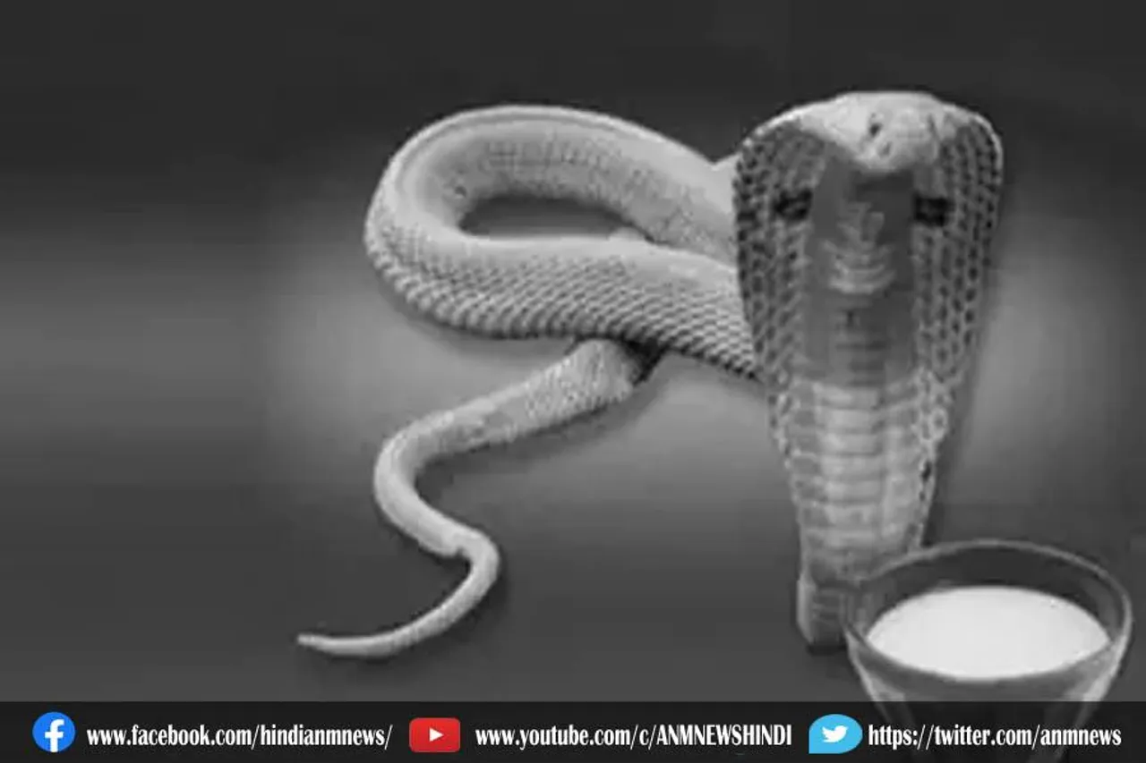 नागपंचमी पर करें ये विशेष उपाय, घर में होगी धन की बरसात