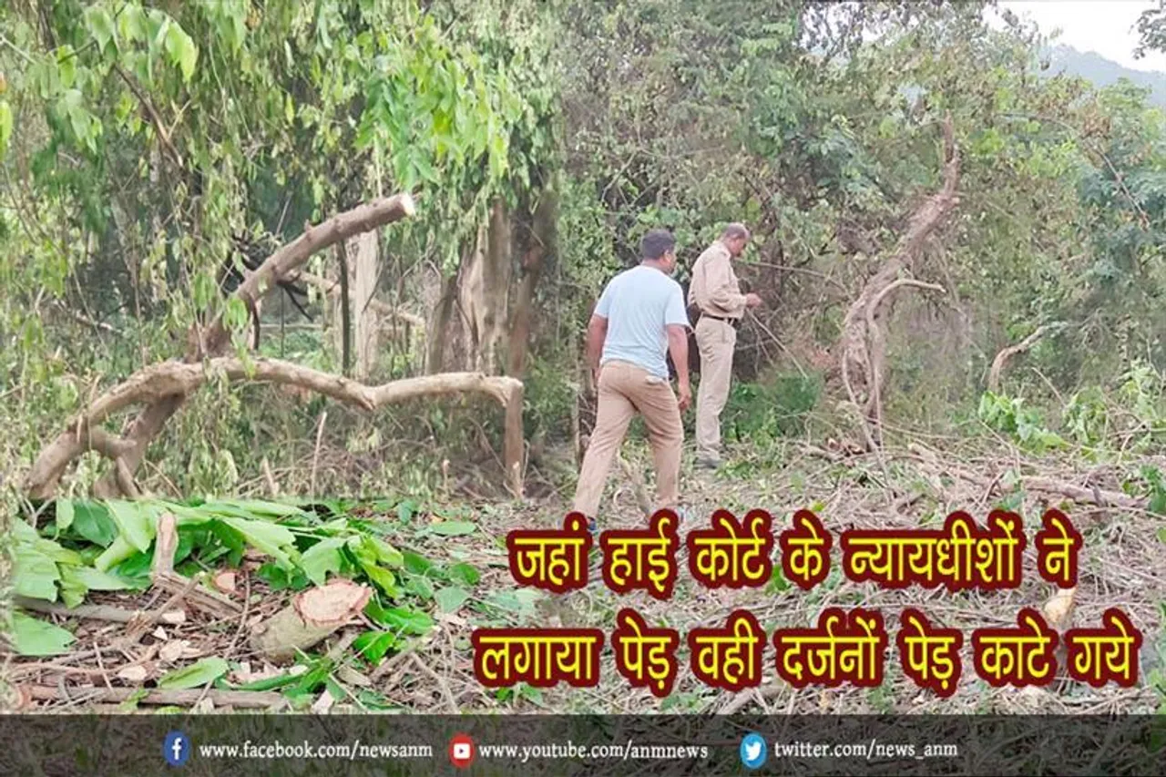 जहां हाई कोर्ट के न्यायधीशों ने लगाया पेड़ वही दर्जनों पेड़ काटे गये