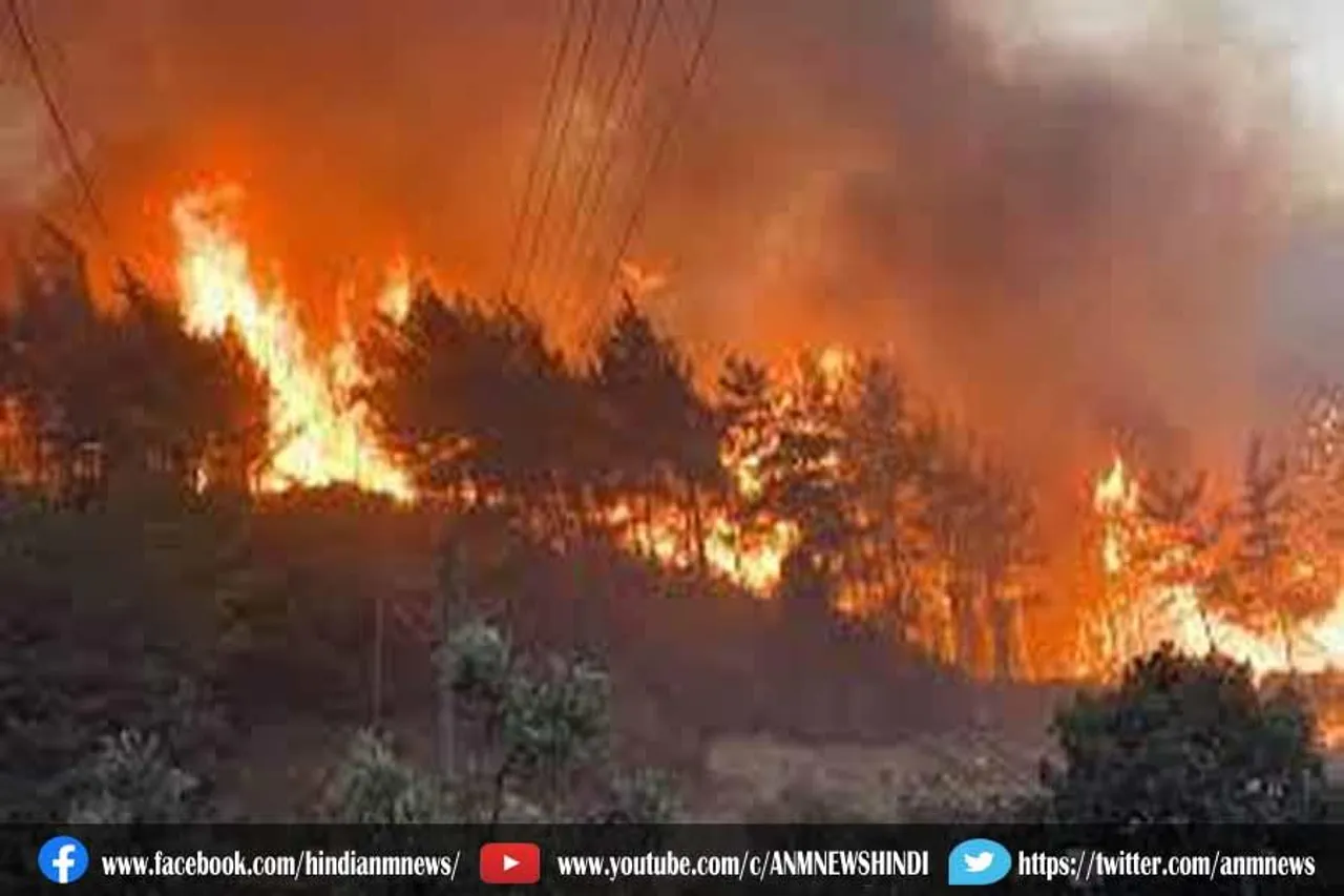 तुर्की में घातक आग