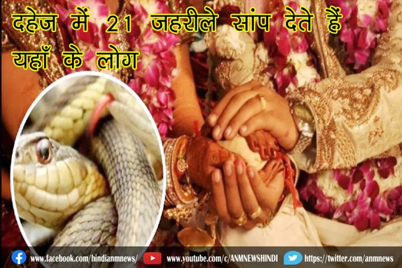 दहेज में 21 जहरीले सांप देते हैं यहाँ के लोग