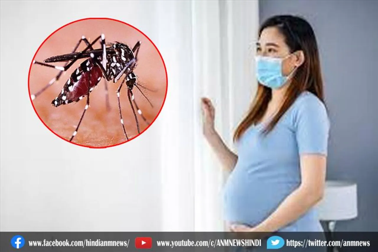 जीका संक्रमित माँ ने जुड़वां बच्चों को दिया जन्म