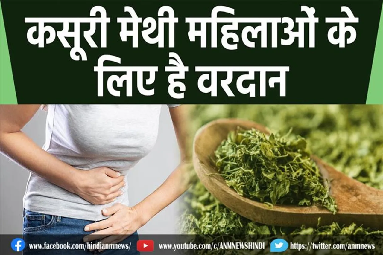 कसूरी मेथी महिलाओं के लिए है वरदान