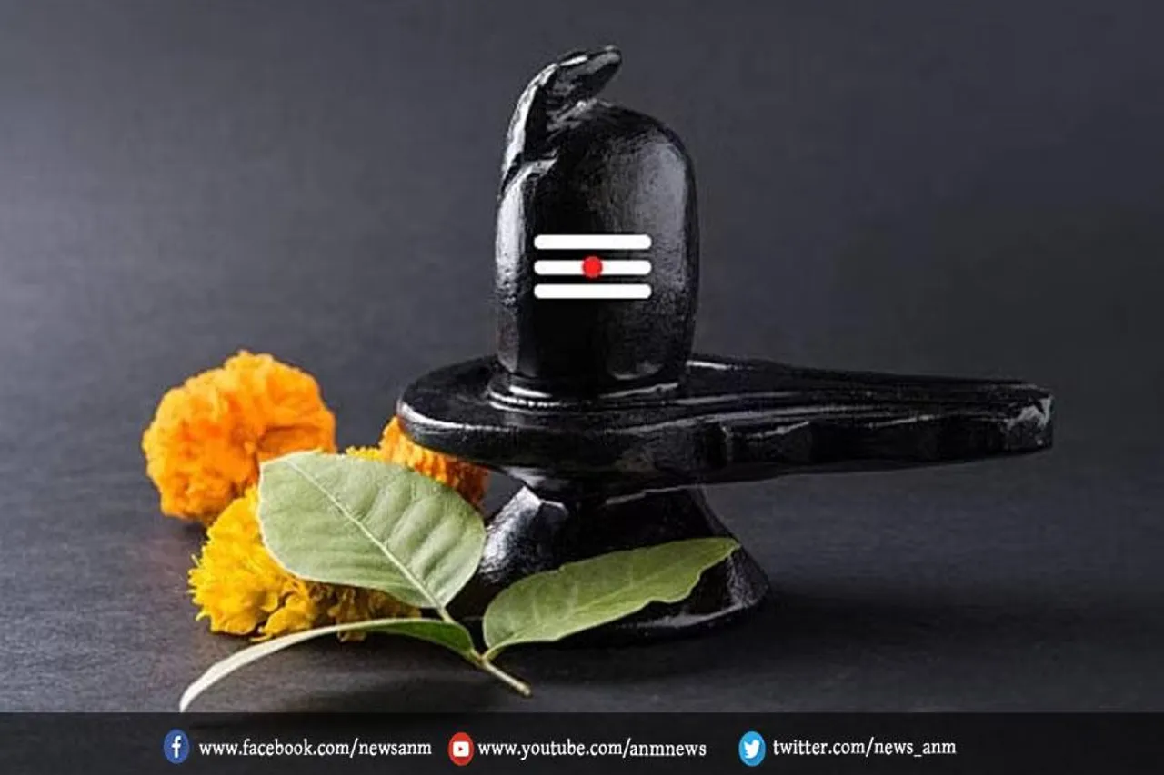 मनोकामना के अनुसार महाशिवरात्रि पर चढ़ाएं ये चीजें