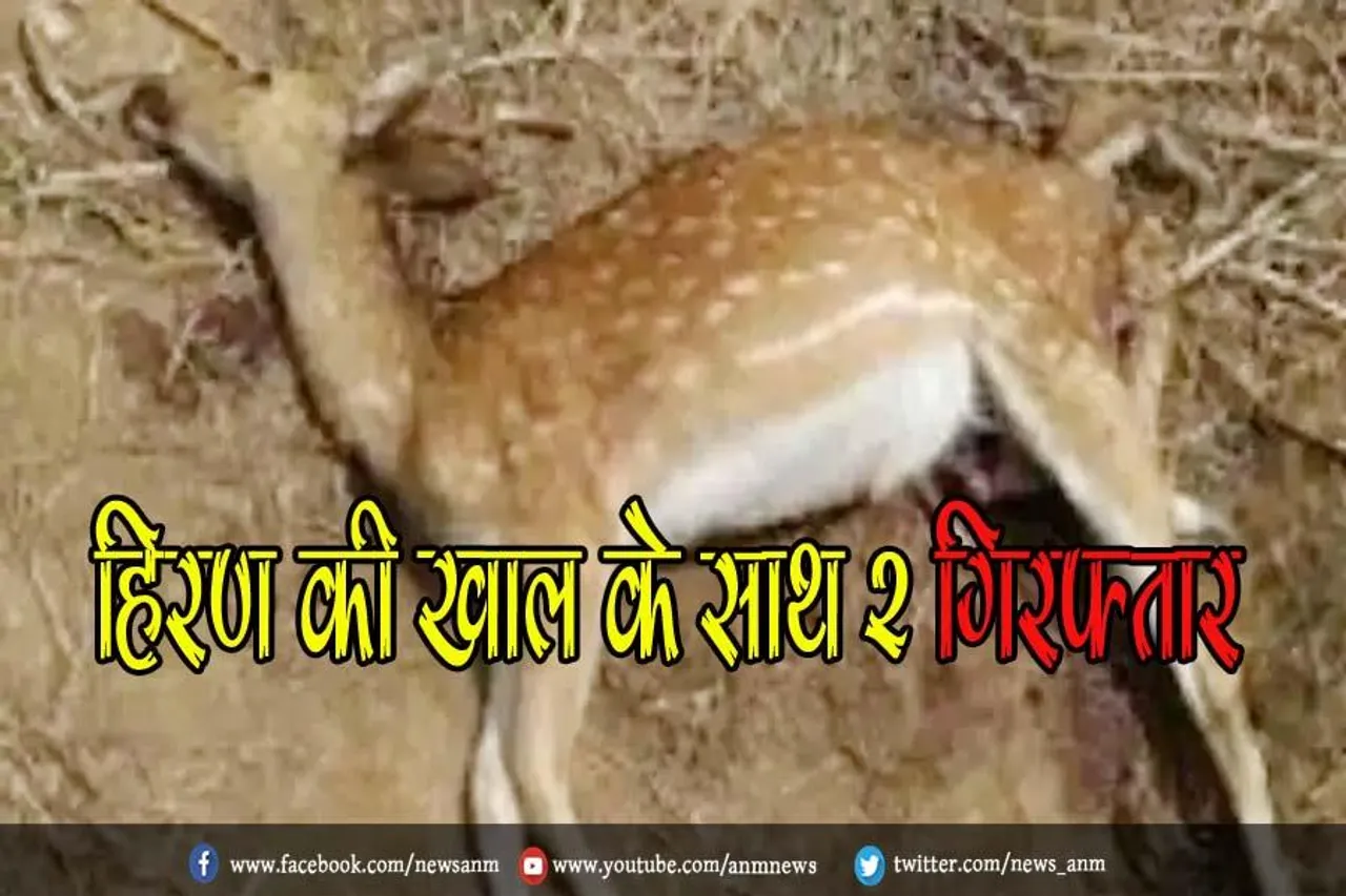 हिरण की खाल के साथ 2 गिरफ्तार