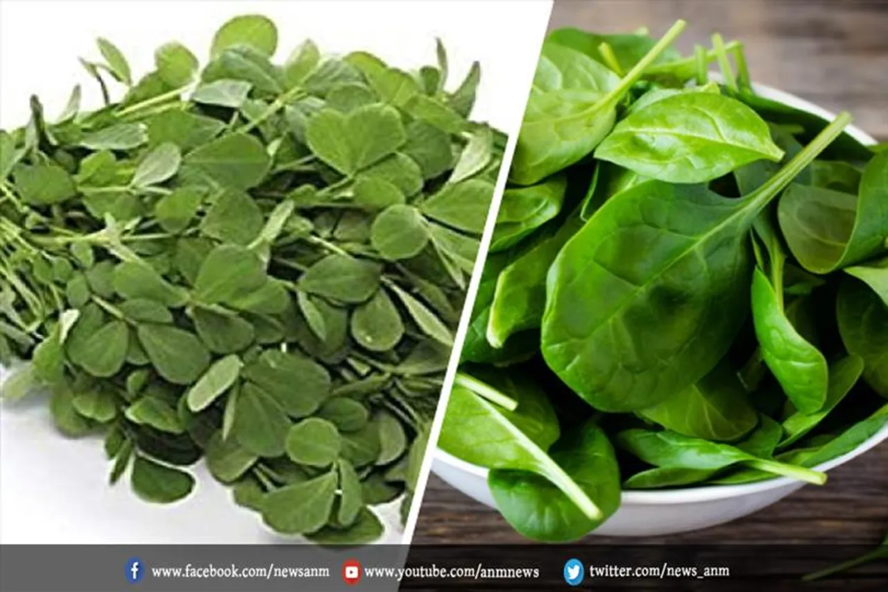 पालक या मेथी कौन सब्जी सेहत के लिए ज़्यादा फायदेमंद