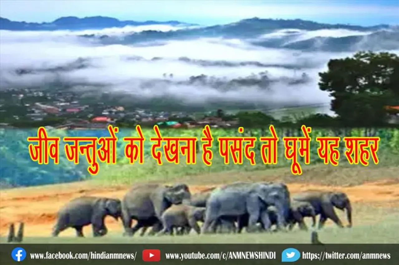 जीव जन्तुओं को देखना है पसंद तो घूमें यह शहर