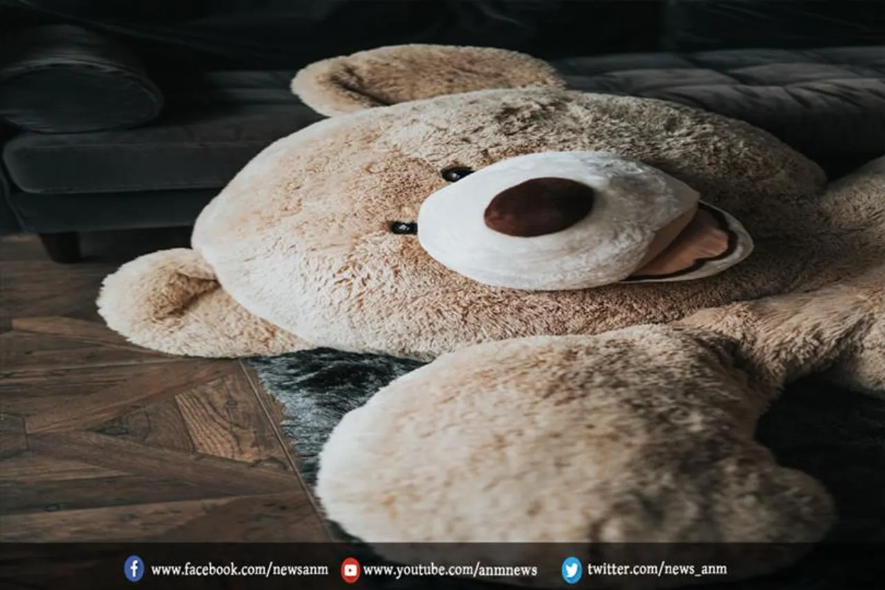 टेडीबियर में घुसकर छुप गया चोर