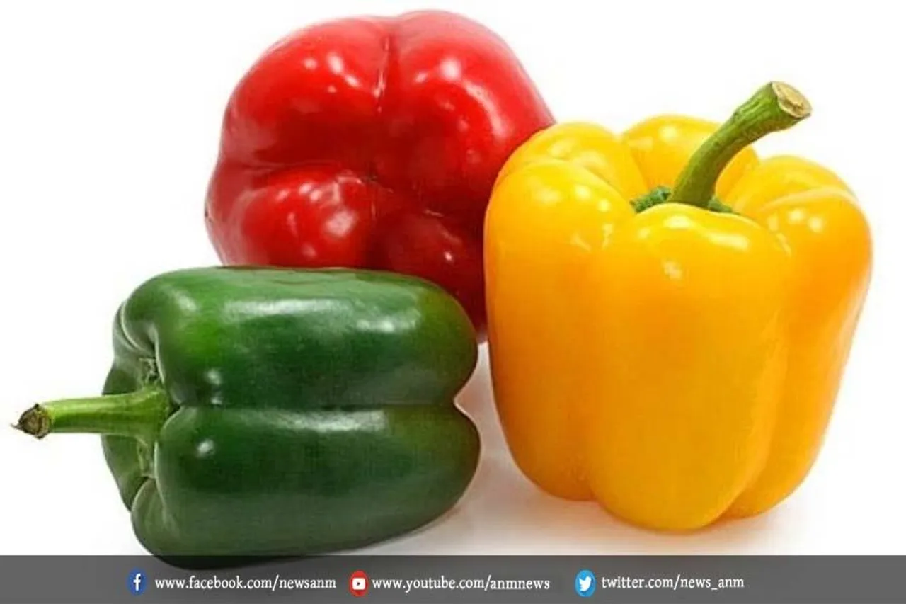 जानिए हरी शिमला मिर्च खाने के अद्भुत फायदे
